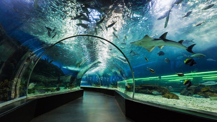 Dubai Aquarium